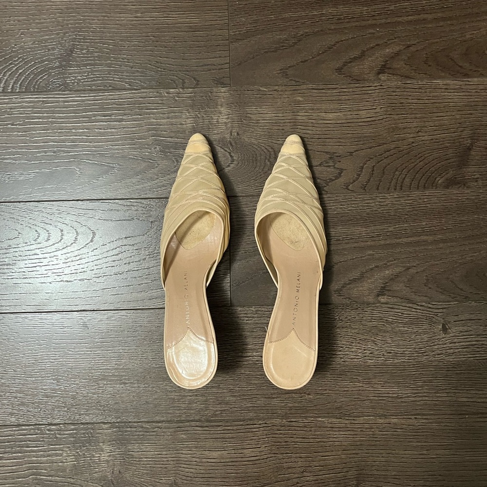 Pointed Mesh Mules - Picture 2 of 3